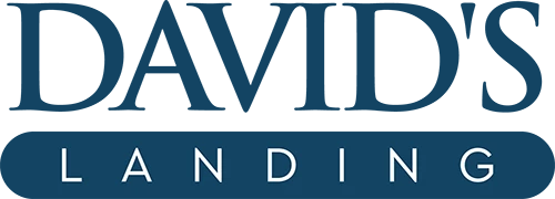 David's Landing Logo